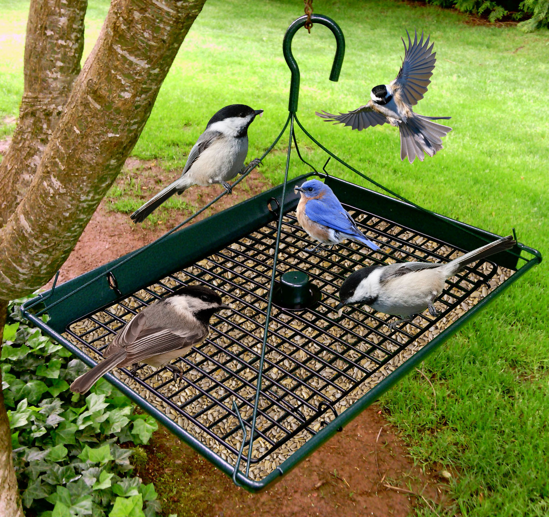 Bird Feeder Z203009 3-in-1 Platform Bird Seed Feeder