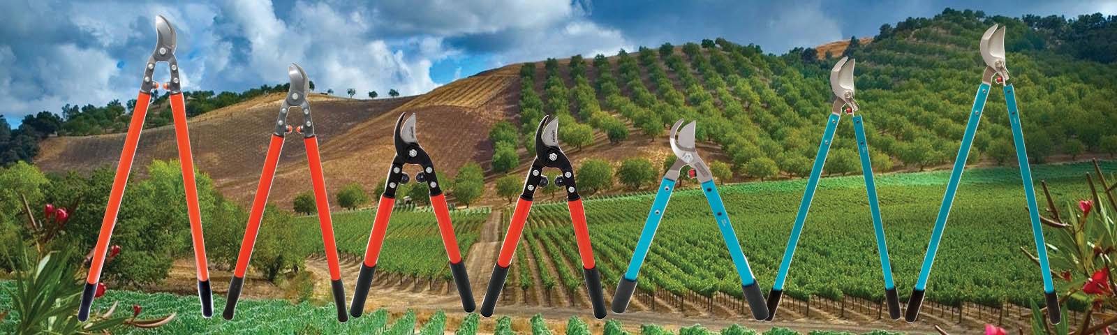 Professional Vineyard and Orchard Tree Loppers