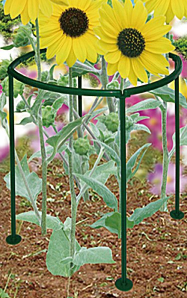 (image for) Zenport Garden Plant Supports GA700 Protect Plants from Wind, Rain
