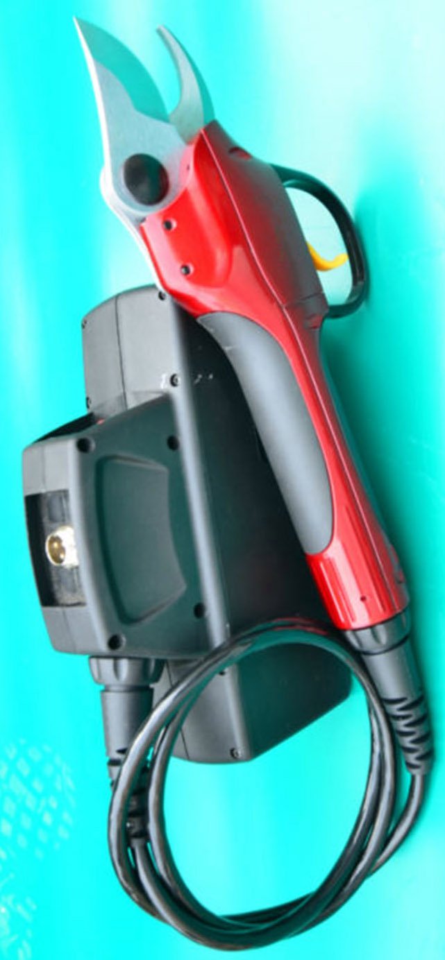 (image for) Zenport SCA Repair Half-Hour Service for Battery Powered Electric Shears