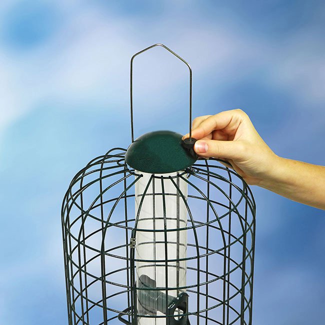 (image for) Zenport Caged Bird Feeder Z38002 Squirrel-X, Squirrel-Resistant
