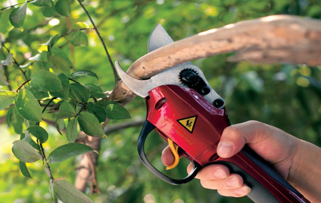 (image for) Zenport SCA Repair Half-Hour Service for Battery Powered Electric Shears