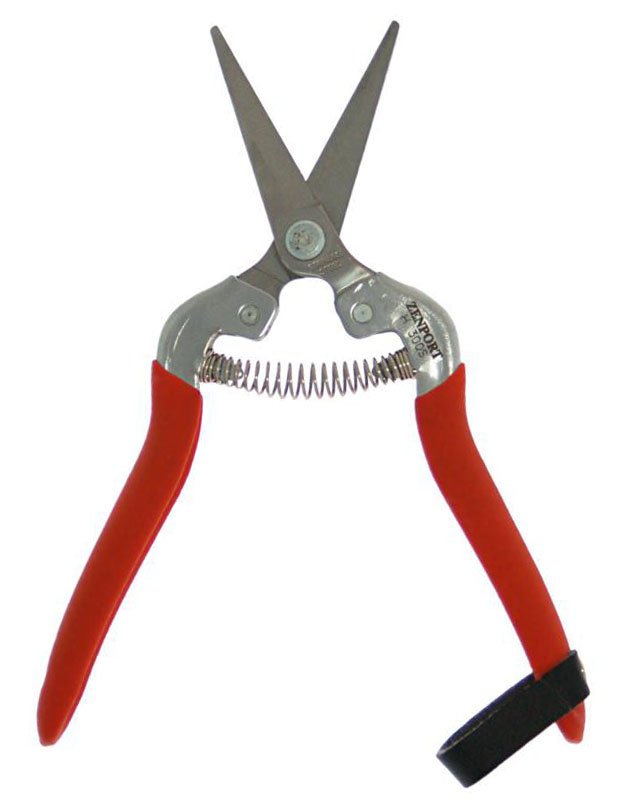 (image for) Zenport H300S Harvest Shears, Long Stainless Blade, Straight Edge, Propagation, Harvesting, Thinning Plants, Cutting Flowers