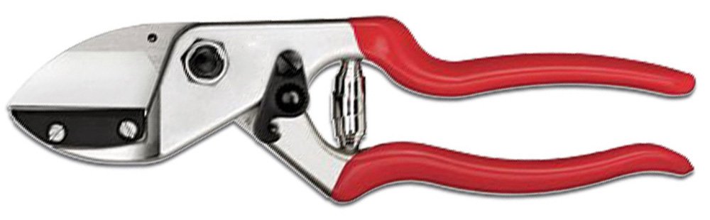 (image for) Zenport QZ431 Pruner Anvil Professional, 1-Inch Cut, 8.3-Inch Long