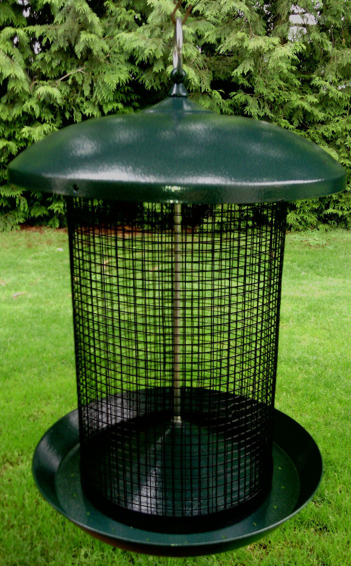 (image for) Zenport Bird Feeder Z203010 Sunflower Seed Screen Bird Feeder