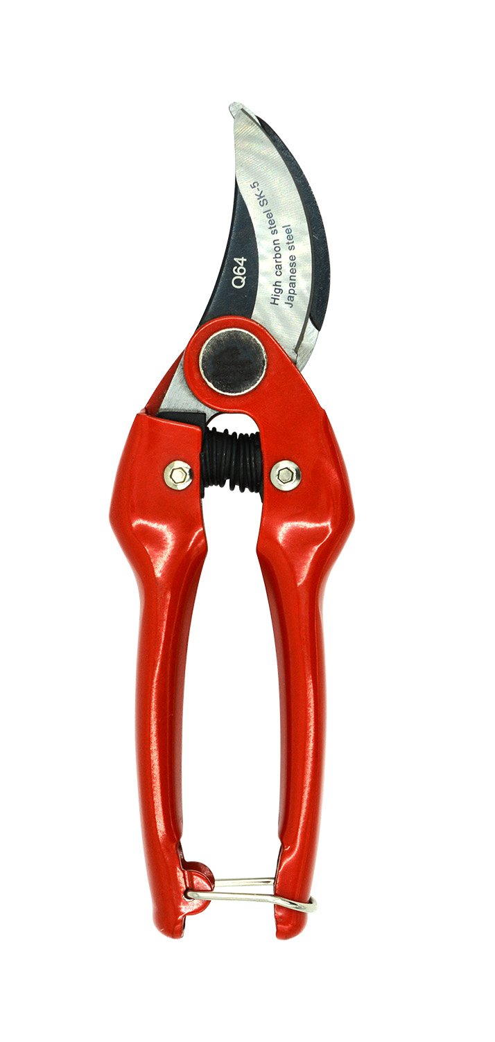 Zenport Q64 Pruner Heavy Duty Professional, SK5 Japanese Steel Cutting Blade, .75-Inch Cut, 7-Inch Long (image for) Zenport Q64 Pruner Heavy Duty Professional, SK5 Japanese Steel Cutting Blade, .75-Inch Cut, 7-Inch Long