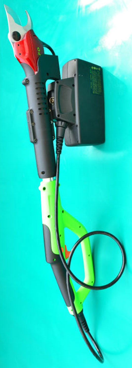 (image for) Zenport SCA Repair Half-Hour Service for Battery Powered Electric Shears
