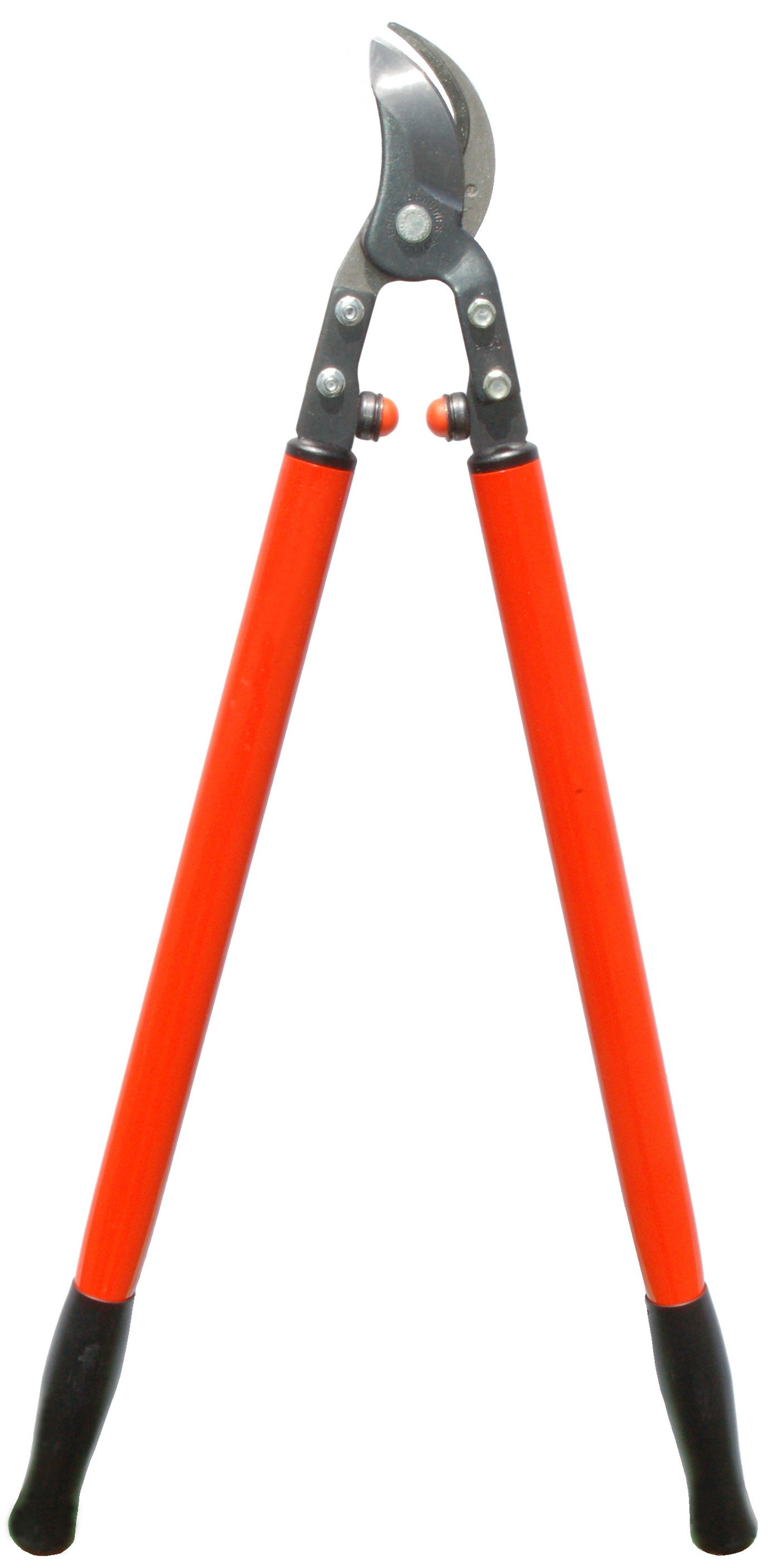 Zenport Lopper MV175 Professional Orchard and Landscape Tree Lopper, 2-Inch Cut, 30-Inch Long (P160-75) (image for) Zenport Lopper MV175 Professional Orchard and Landscape Tree Lopper, 2-Inch Cut, 30-Inch Long (P160-75)