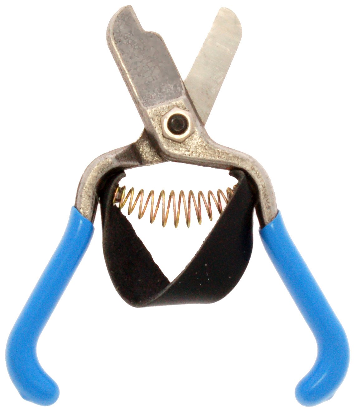 (image for) Zenport Stem Clipper H322 Fruit Stem Shears with Strap, Lemon Citrus Stem Clippers, Forged Stainless Steel, 5.5-Inch Long