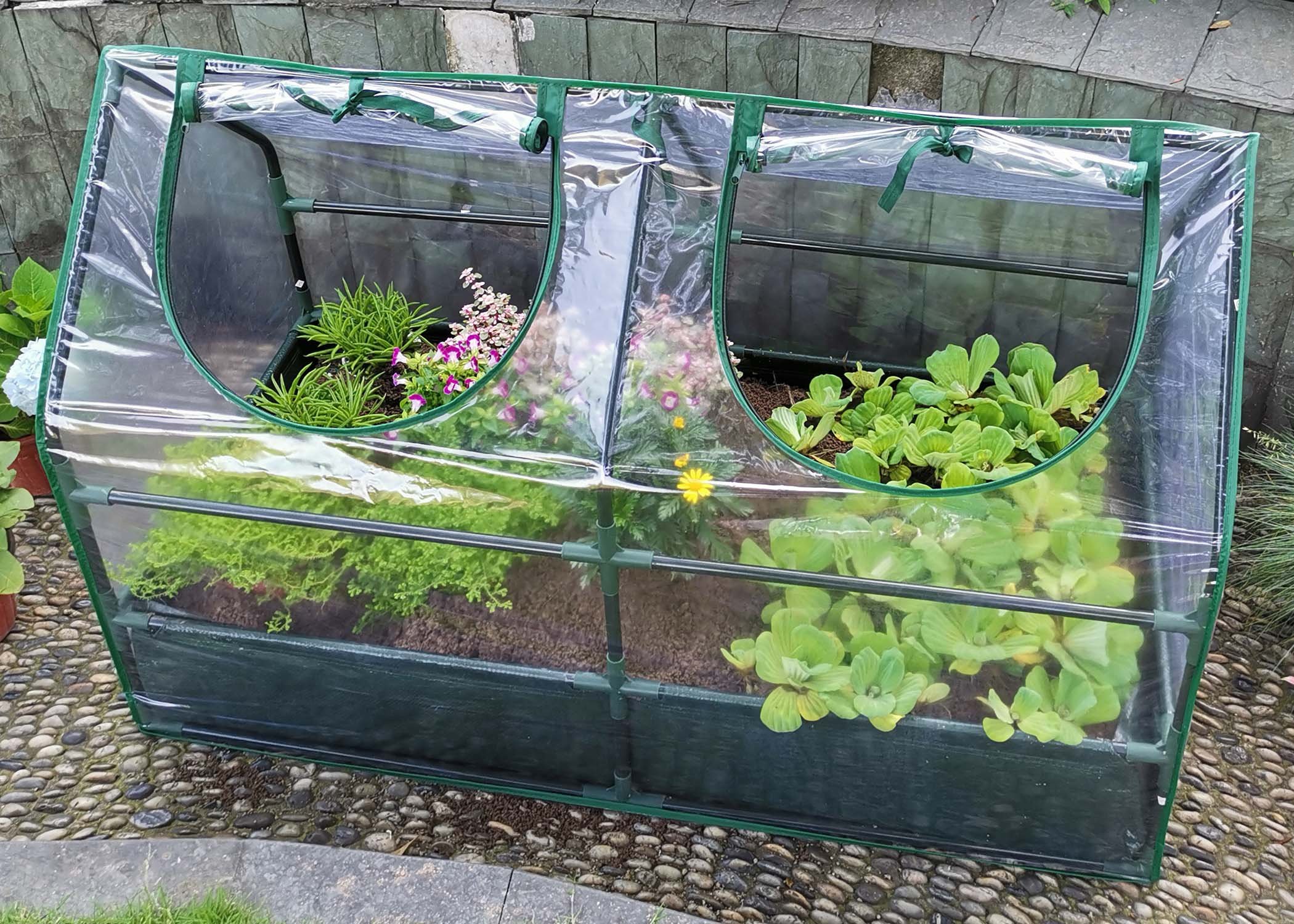 (image for) Zenport Mini Greenhouse SH3212A+BTP Garden Raised Bed and Cold Frame Greenhouse Cloche for Easy Access Protected Gardening