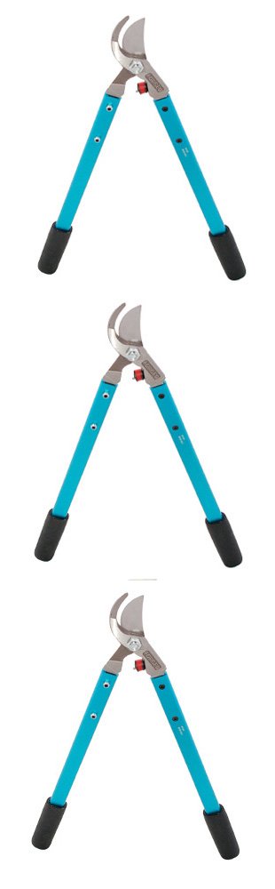 (image for) Loppers for Two-Hand Pruning