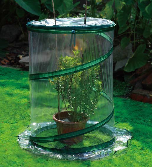 (image for) Zenport Mini Greenhouse SH3240 26-inch Portable Pop-Up Greenhouse Protects Garden from Frost