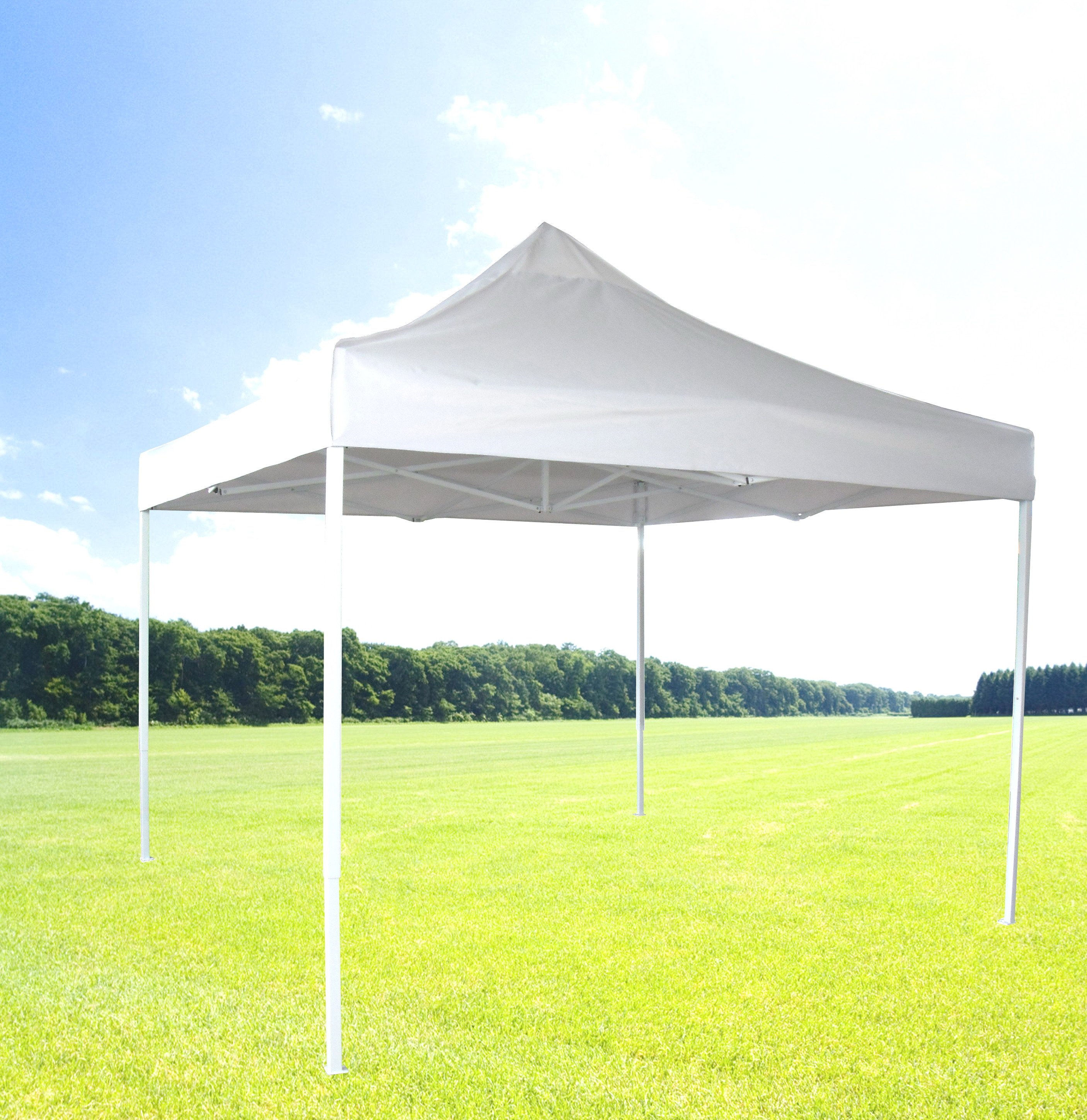 (image for) Canopies and Umbrellas