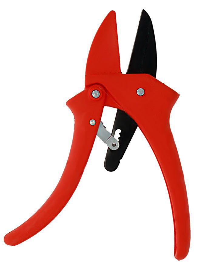 Zenport ZR110 Pruner Ratchet Standard, Easy Cutting Action, .5-Inch Cut, 7-Inch Long (image for) Zenport ZR110 Pruner Ratchet Standard, Easy Cutting Action, .5-Inch Cut, 7-Inch Long