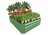 (image for) Zenport WS1003 Raised Garden Bed Kit, Green, 39.4 x 39.4 x 11.8-inches