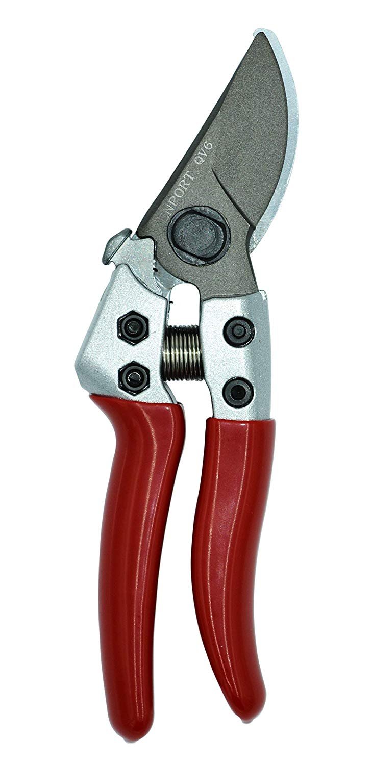 (image for) Zenport QV6 Pruner, Japanese Squeeze Open Pro, Chrome Plated Blade, Half-Inch Cut, 6-Inch Long