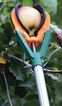 (image for) Zenport Fruit Picker ZL6146B 10-Foot Telescopic Fruit Picker, Long Reach Fruit Harvester