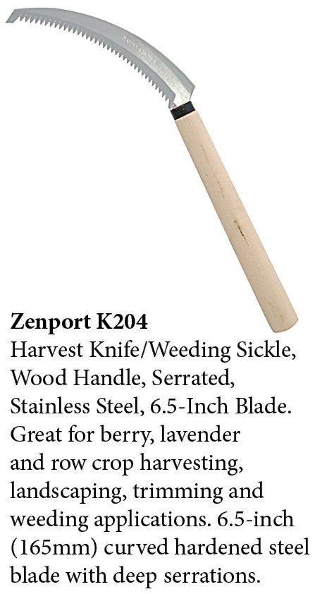 (image for) Zenport Sickle K204 Harvest Knife/Weeding Sickle, Wood Handle, Serrated, Japanese, A+ Grade, Stainless Steel, 6.5-Inch Blade