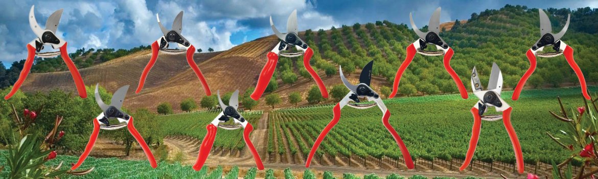 (image for) Professional Horticulture Pruning Shears