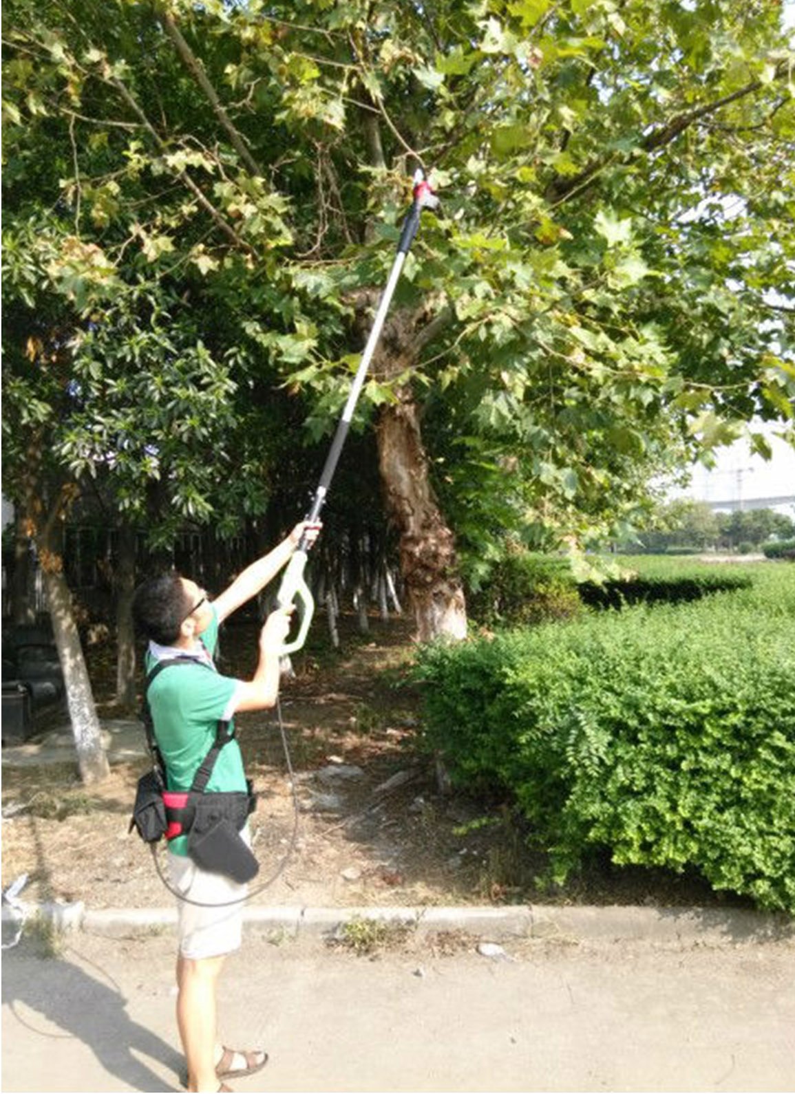(image for) Zenport SCA Repair Half-Hour Service for Battery Powered Electric Shears