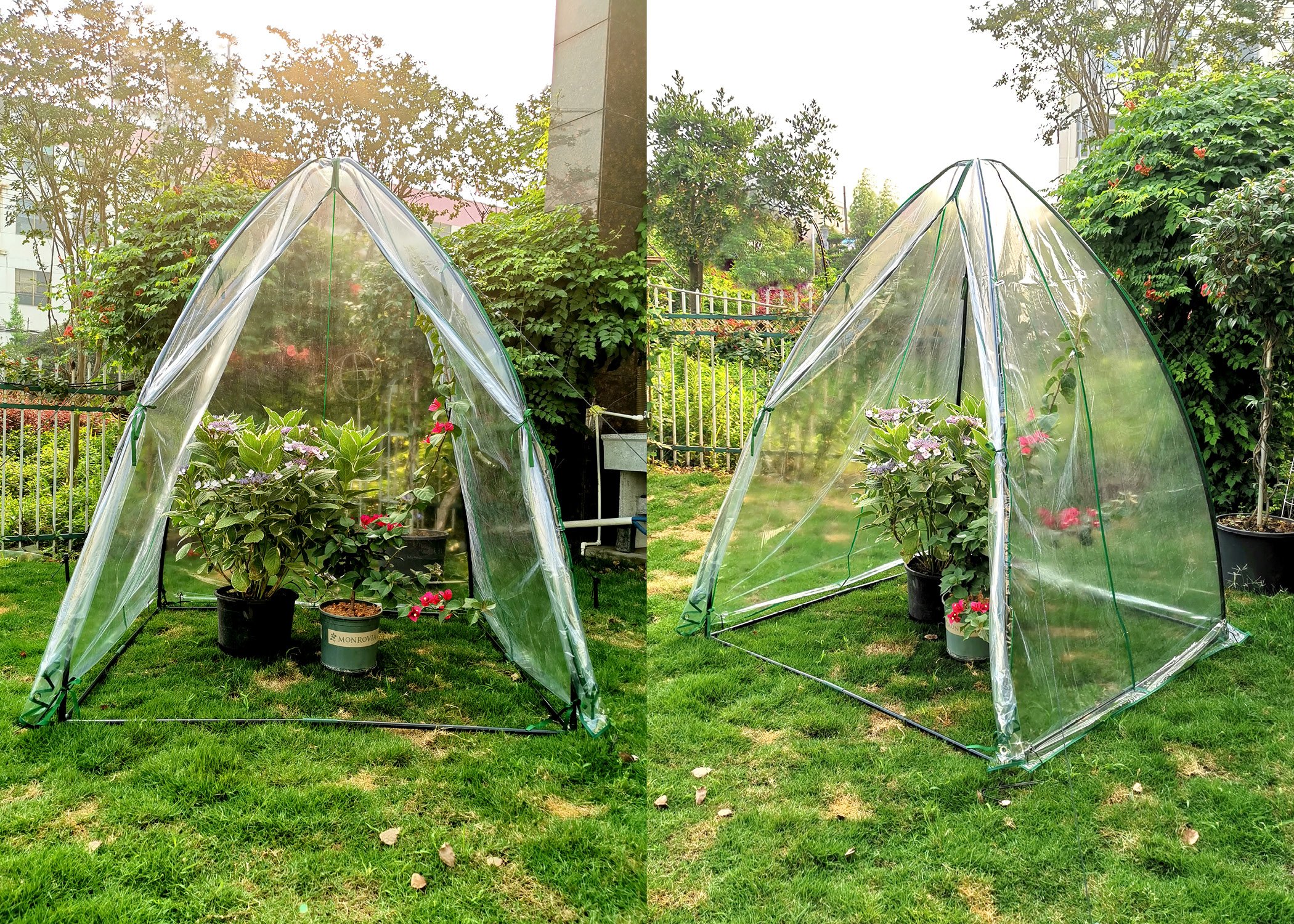 (image for) Zenport Winter Garden Tent SH3287 Steel Frame, Transparent Cover, 55.1 x 55.1 x 70.9-inches