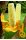 (image for) Zenport Bird Feeder Z203008 Tractor Cob Squirrel and Bird Feeder