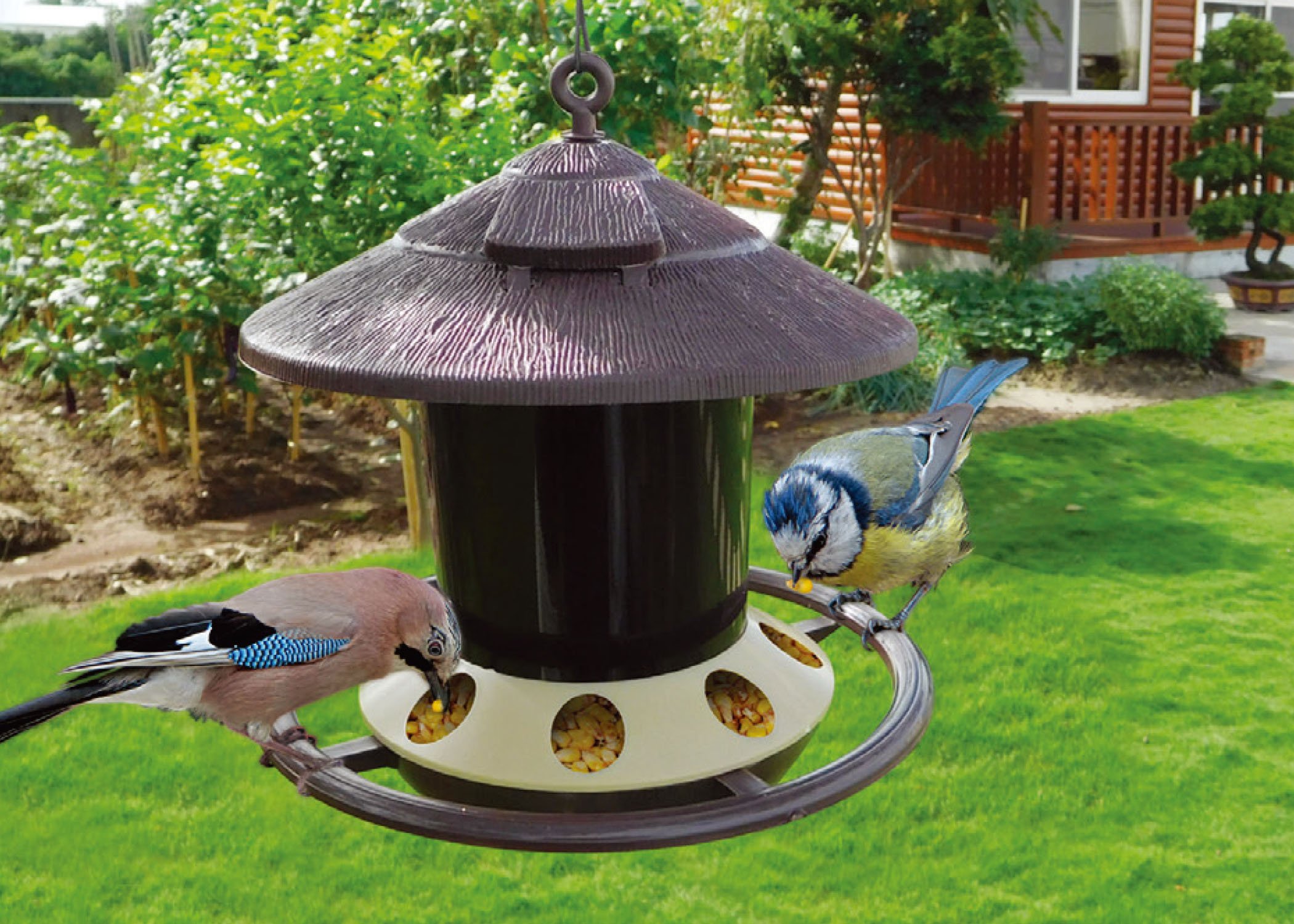 Zenport Bird Feeder D-450 1.23-lb Capacity (image for) Zenport Bird Feeder D-450 1.23-lb Capacity