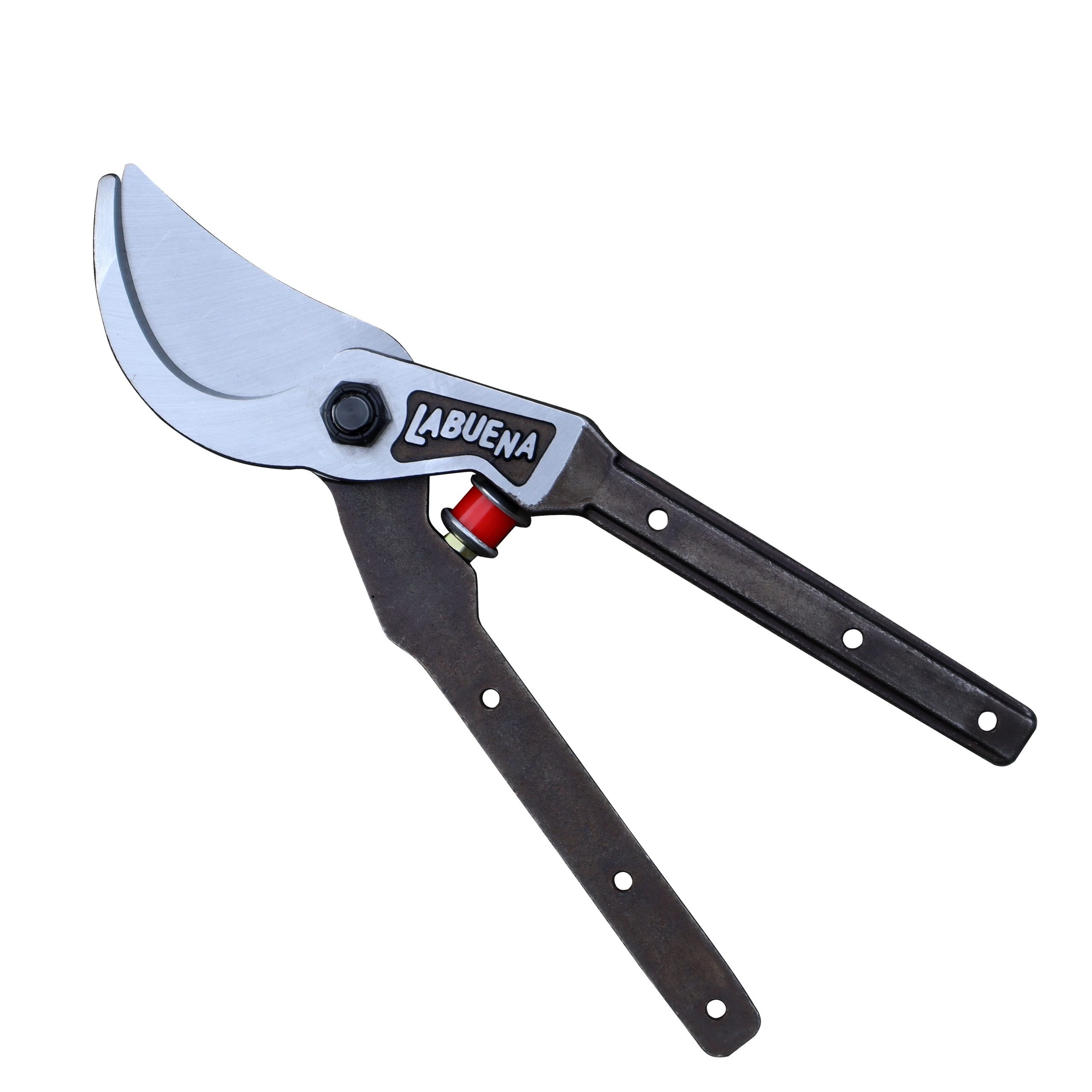 A generic image