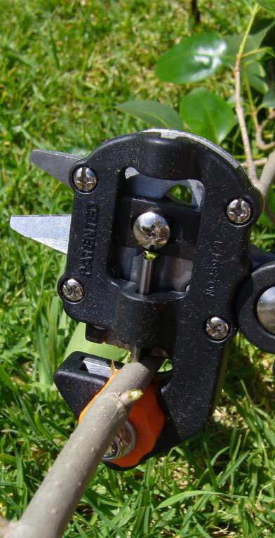 (image for) Zenport Grafting Tool ZJ67 Omega-Cut Grafting Tool for Grafting Fruit Trees and Vines