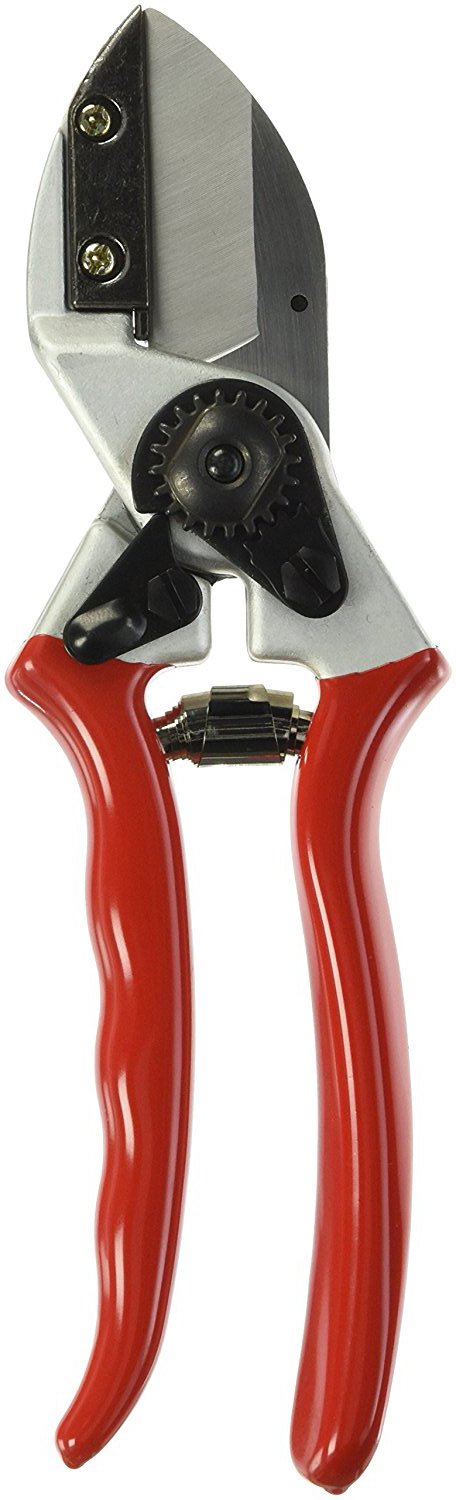 (image for) Zenport QZ431 Pruner Anvil Professional, 1-Inch Cut, 8.3-Inch Long