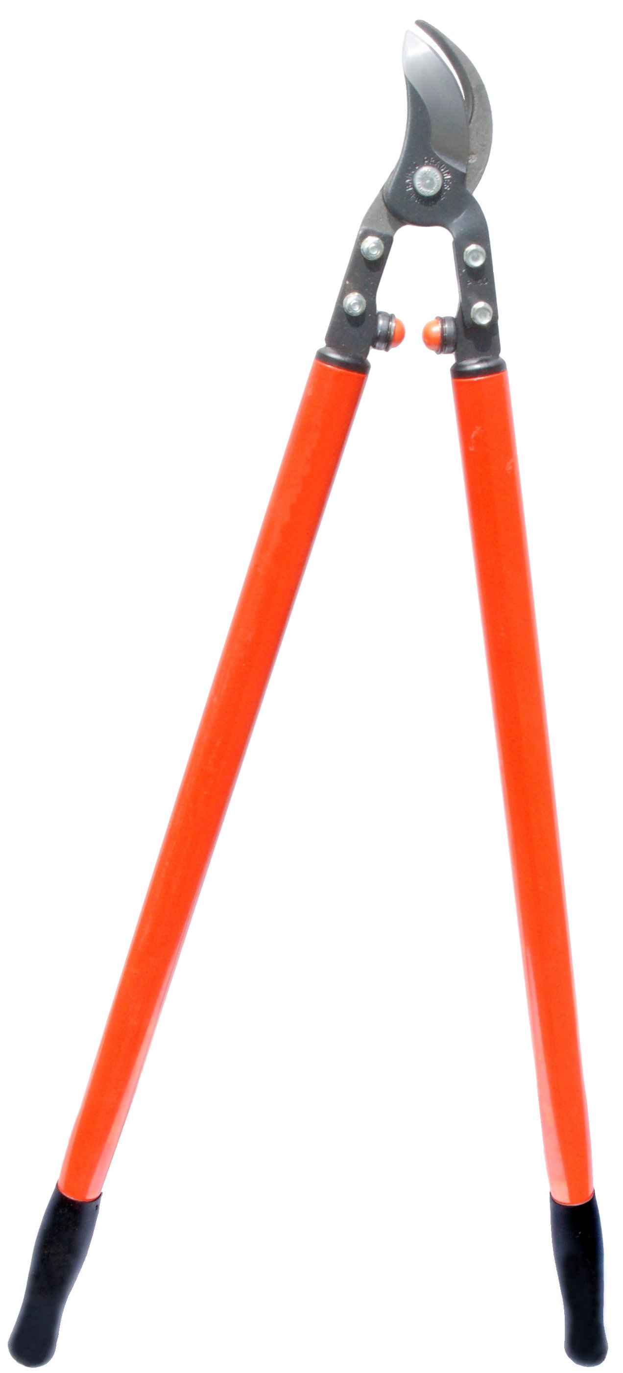 Zenport Lopper MV190 Professional Orchard and Landscape Tree Lopper, 2-Inch Cut, 36-Inch Long (P160-90) (image for) Zenport Lopper MV190 Professional Orchard and Landscape Tree Lopper, 2-Inch Cut, 36-Inch Long (P160-90)