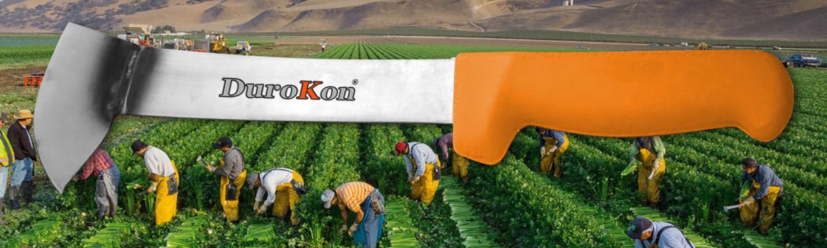 (image for) Celery Harvest Knife, Stainless Steel Blade, Orange Handle