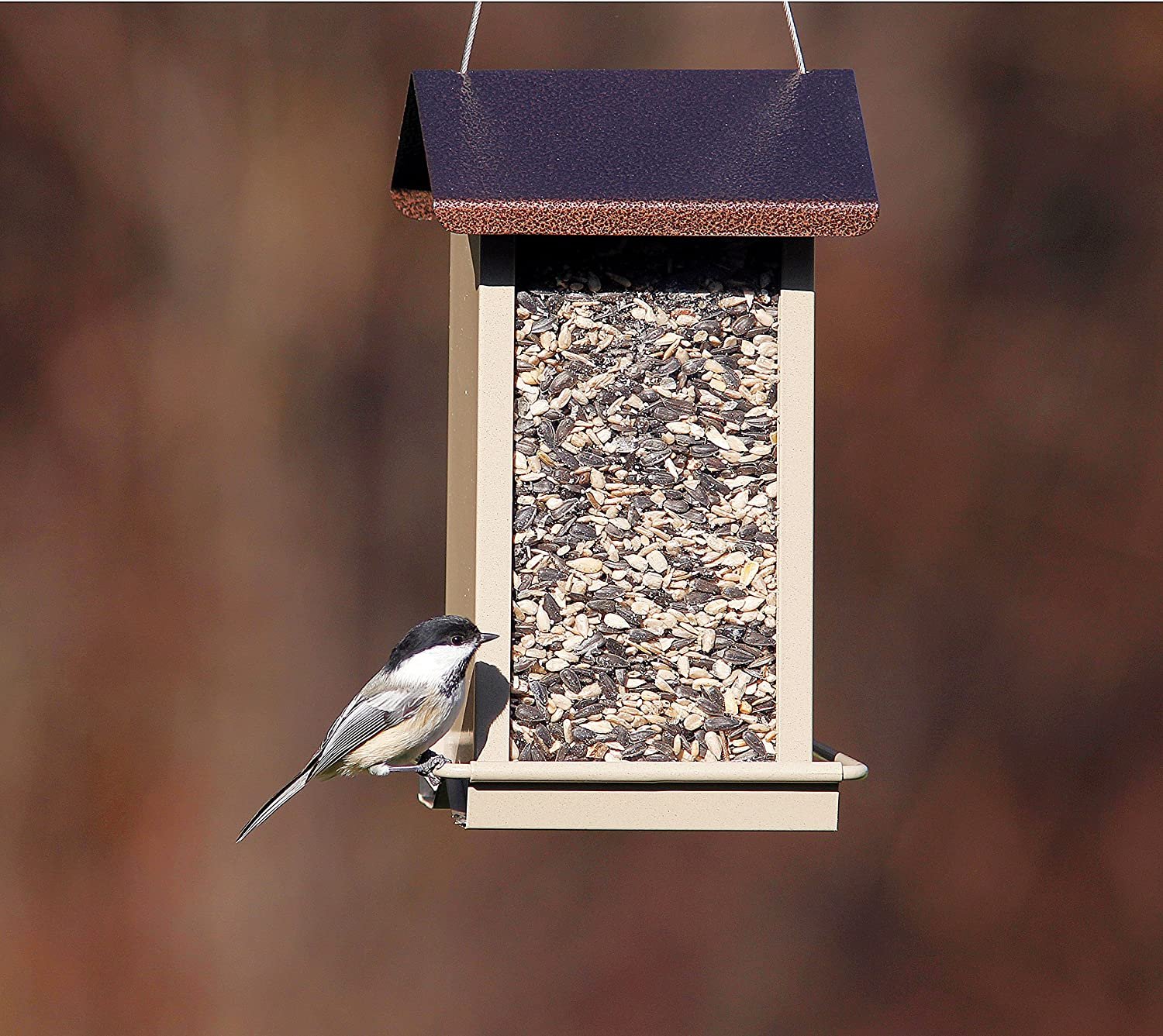 (image for) Zenport Bird Feeder Z38188 Small Hopper