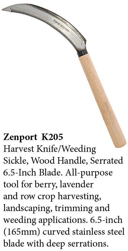 (image for) Zenport Sickle K205 Harvest Knife Weeding Sickle, Berry Lavender Vegetable Landscape, Wood Handle, Serrated Edge, 6.5-Inch Blade