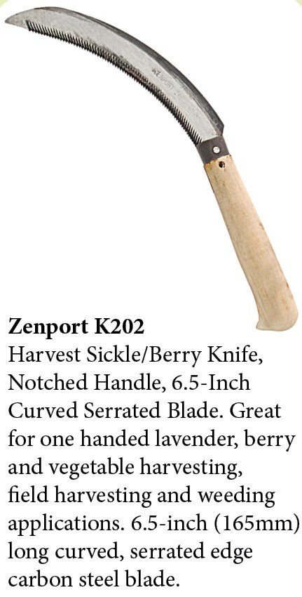 (image for) Zenport Sickle K202 Lavender Harvest Sickle/Berry Knife, Notched Handle, 6.5-Inch Curved Serrated Blade