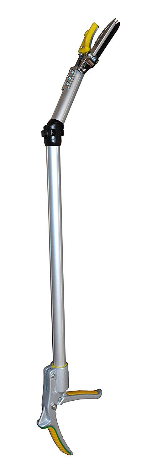 A generic image