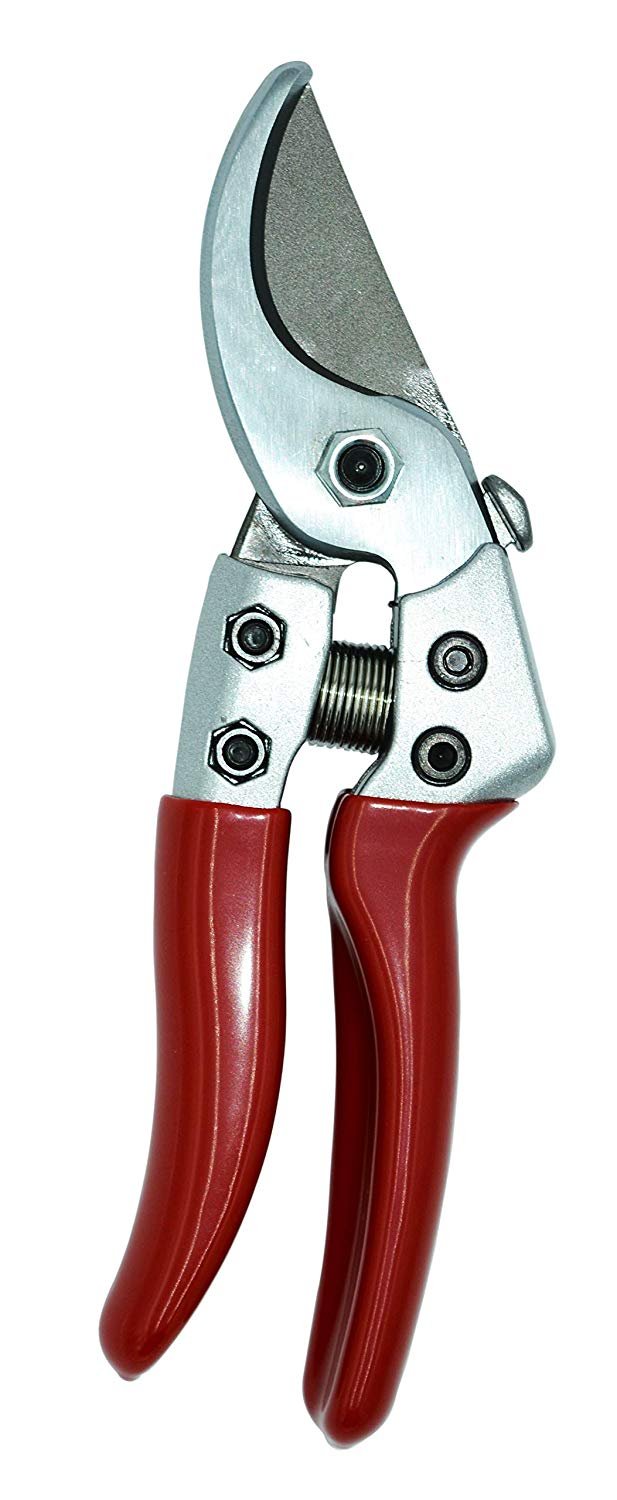 (image for) Zenport QV6 Pruner, Japanese Squeeze Open Pro, Chrome Plated Blade, Half-Inch Cut, 6-Inch Long