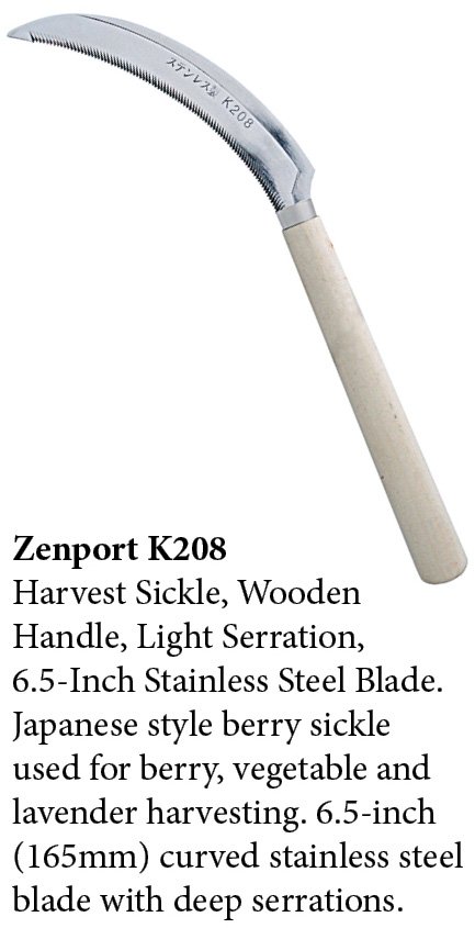 (image for) Zenport Sickle K208 Harvest Sickle, Wooden Handle, Light Serration, 6.5-Inch Stainless Steel Blade