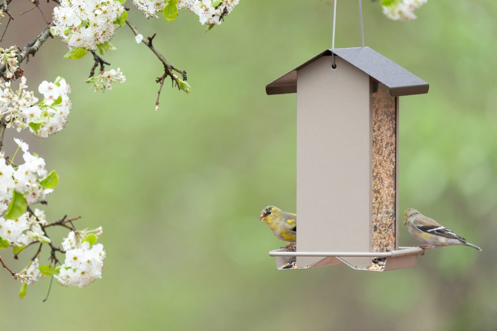 (image for) Zenport Bird Feeder Z38188 Small Hopper