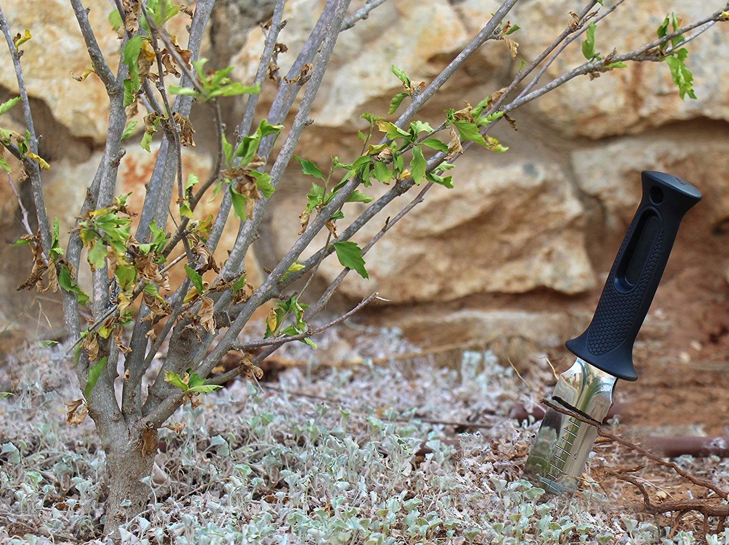 (image for) Zenport Soil Knife K247 Soil Knife with Sheath and 6-Inch Stainless Steel Serrated Blade