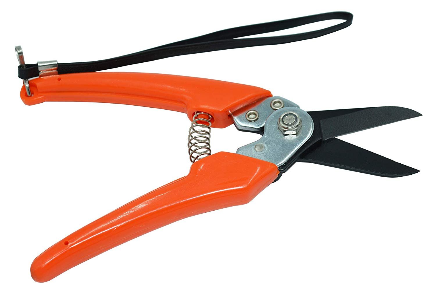 (image for) Zenport Z116 Pruner Hoof and Floral Trimming Shear, Teflon Coated, Twin-Blade, .8-Inch Cut, 8-Inch Long