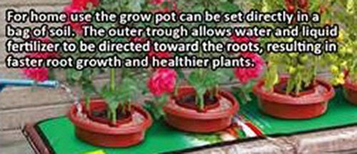(image for) Zenport Grow Pot D-300 3 Pot Growing System, Repels Slugs and Snails