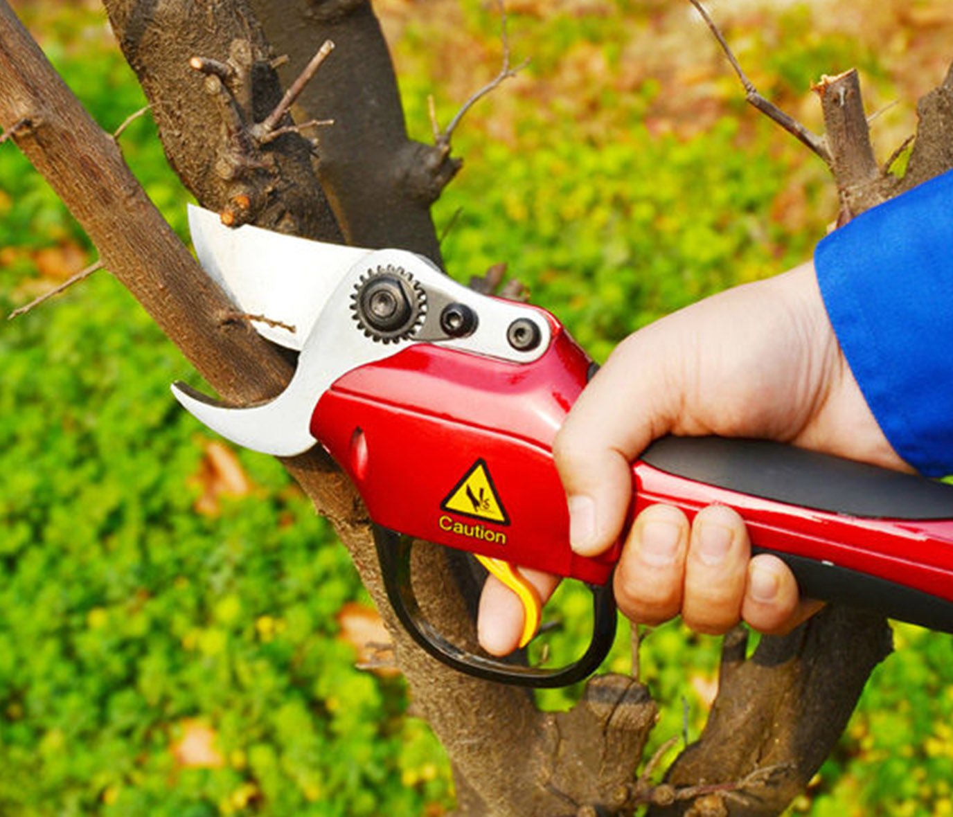 (image for) Zenport SCA Repair Half-Hour Service for Battery Powered Electric Shears